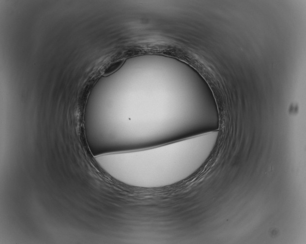 X0000101701108200807101339