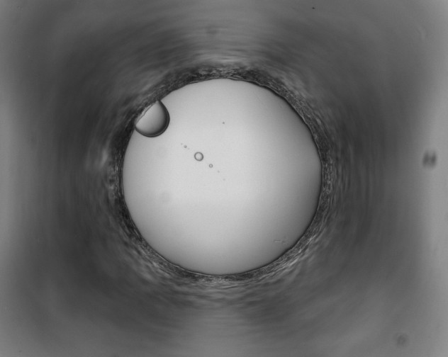 X0000101701109200807101339