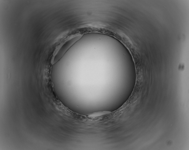 X0000101701110200807101339