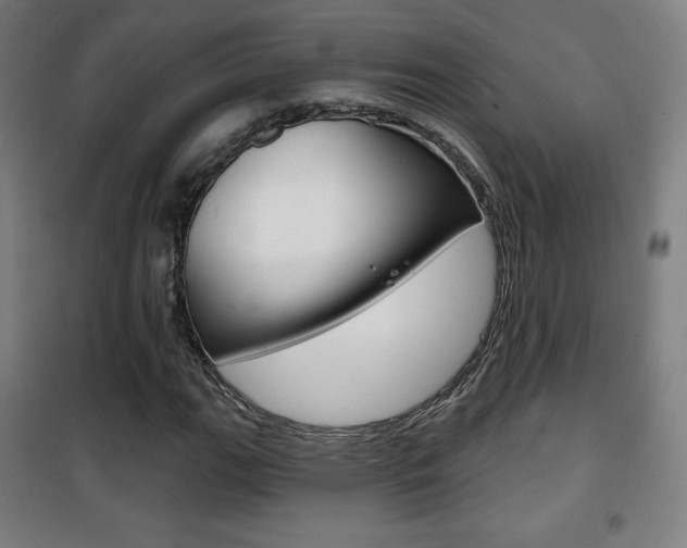 X0000101701111200807101339