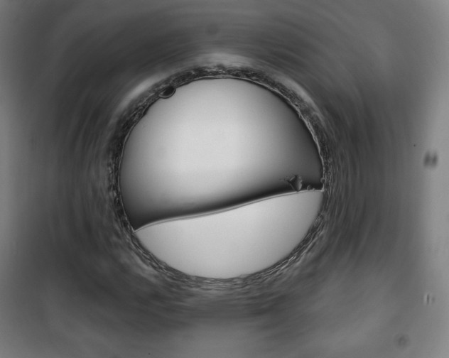X0000101701112200807101339
