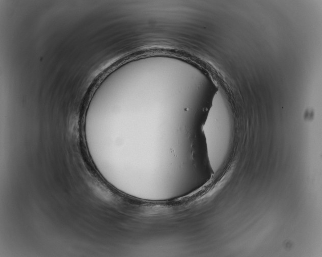 X0000101701113200807101339