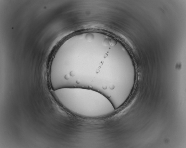X0000101701117200807101339