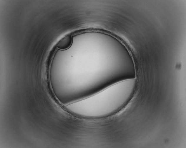 X0000101701118200807101339