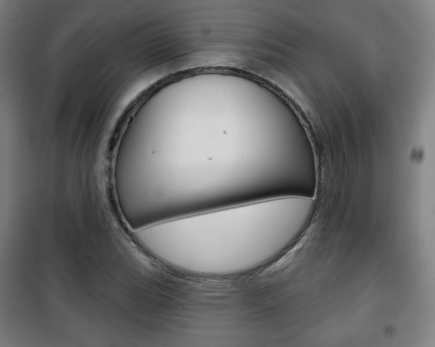 X0000101701119200807101339