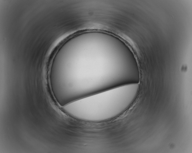 X0000101701120200807101339