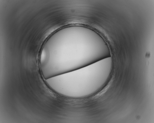 X0000101701121200807101339