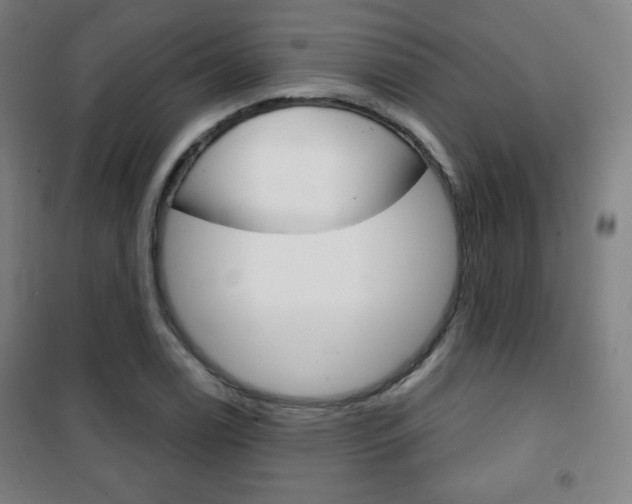 X0000101701122200807101339