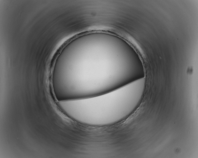 X0000101701124200807101339