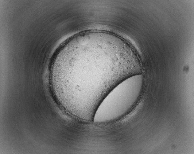 X0000101701125200807101339
