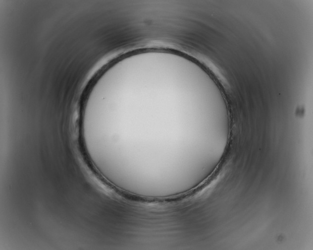 X0000101701126200807101339