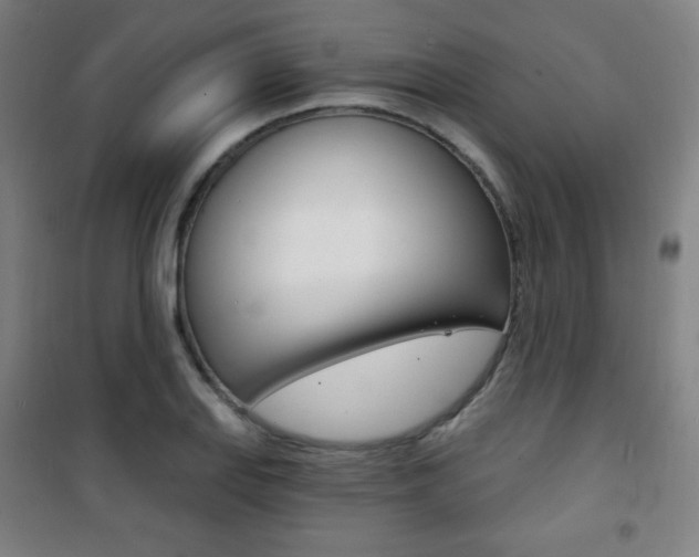 X0000101701127200807101339