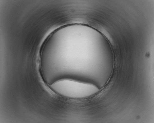 X0000101701132200807101340