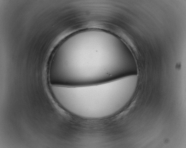 X0000101701133200807101340