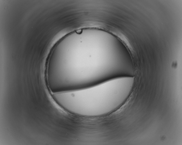 X0000101701135200807101340