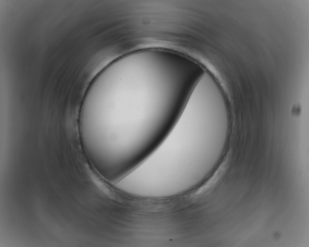 X0000101701137200807101340