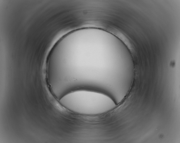 X0000101701140200807101340