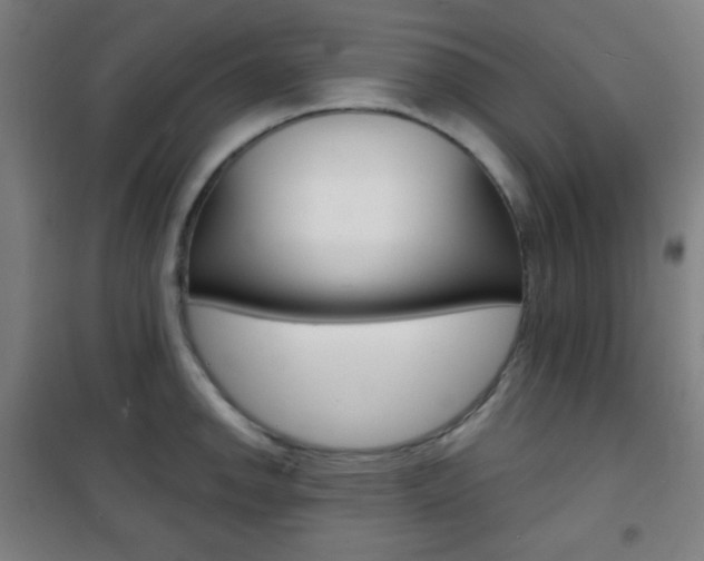 X0000101701142200807101340