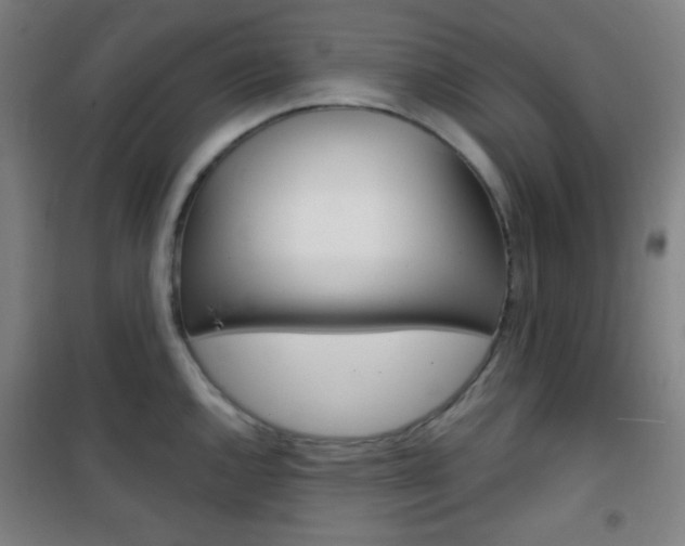 X0000101701144200807101340
