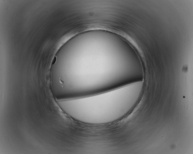 X0000101701145200807101340