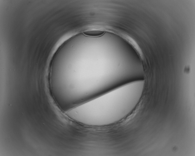 X0000101701146200807101340