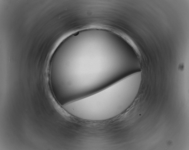 X0000101701148200807101340