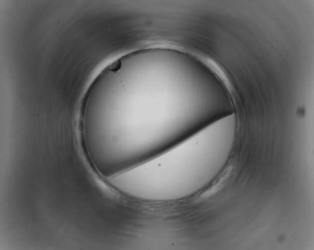 X0000101701149200807101340