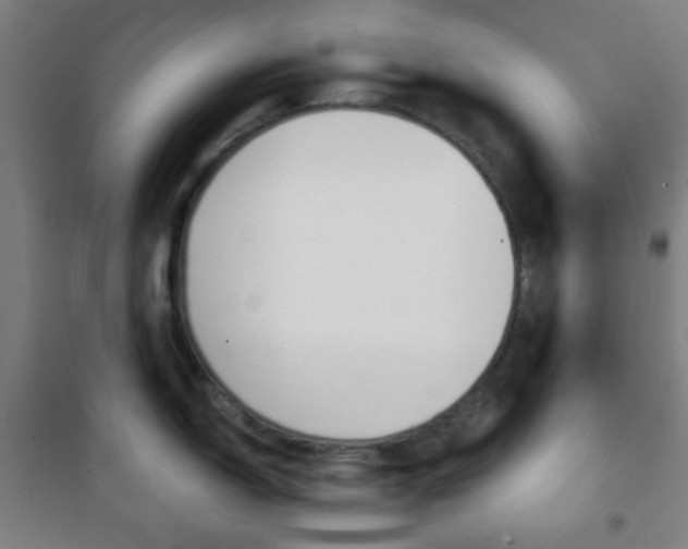 X0000101701150200807101340