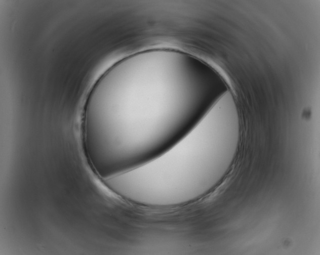 X0000101701151200807101340
