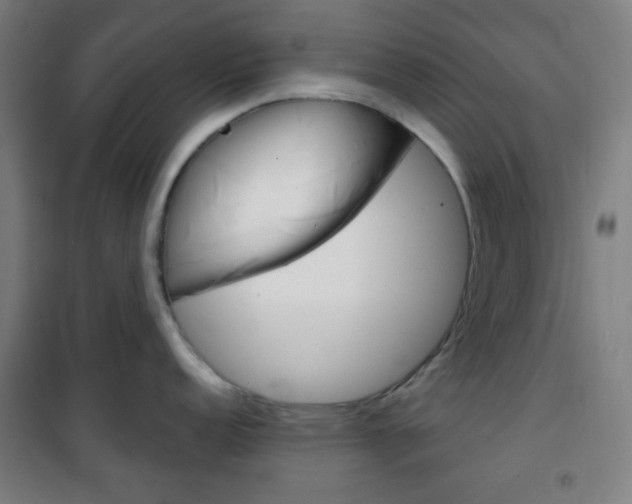 X0000101701152200807101340