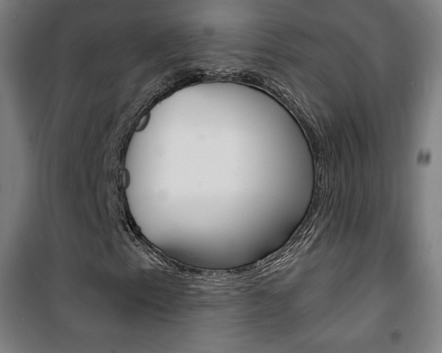 X0000101701153200807101339