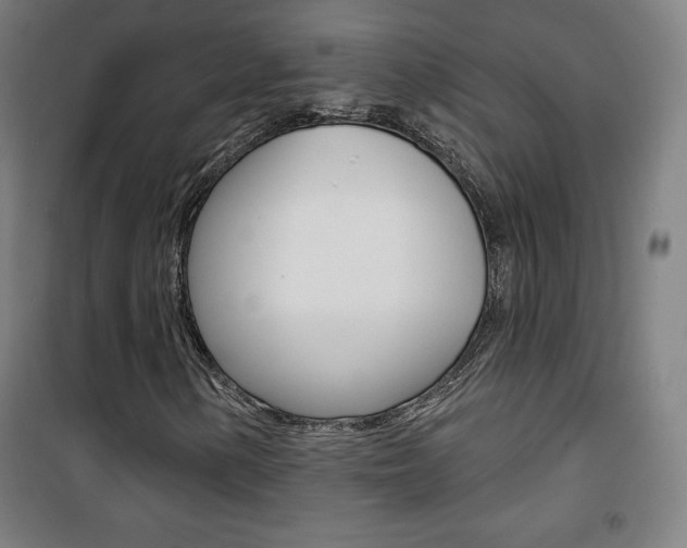 X0000101701154200807101339