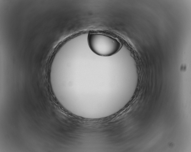 X0000101701160200807101339