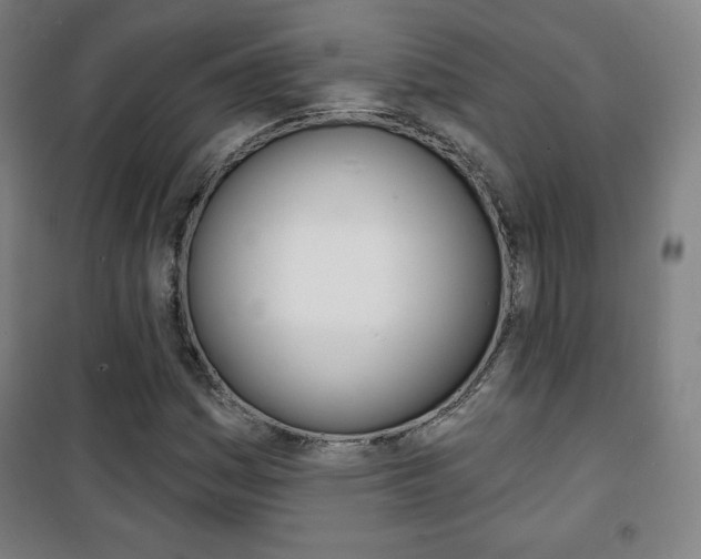 X0000101701161200807101339
