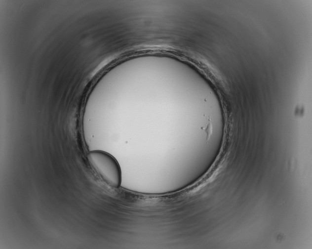 X0000101701162200807101339