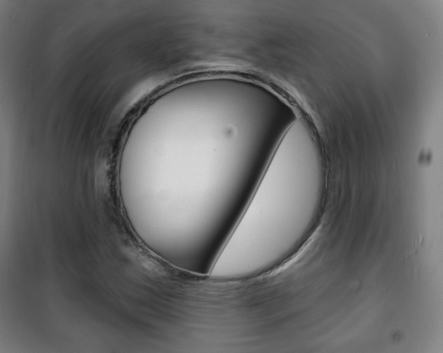 X0000101701163200807101339