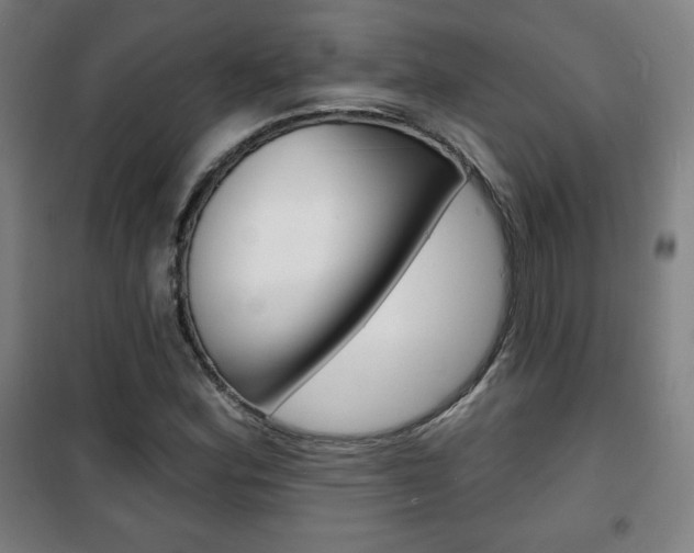 X0000101701164200807101339