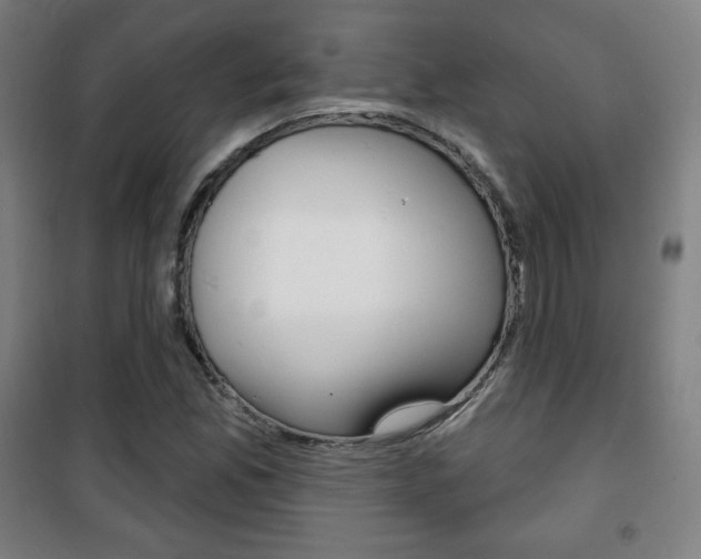 X0000101701165200807101339