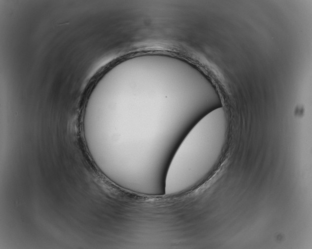 X0000101701166200807101339