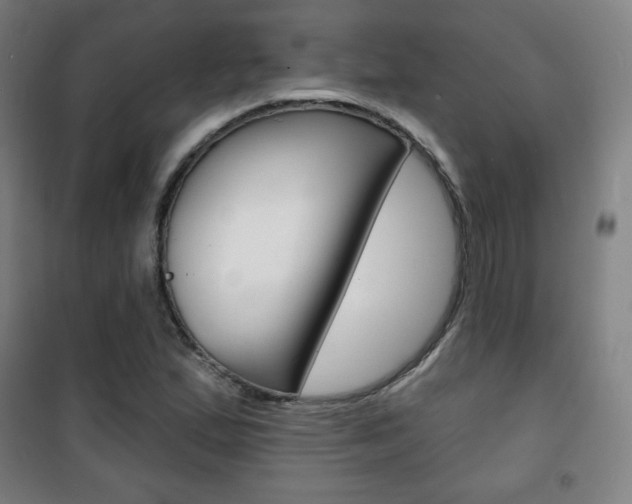 X0000101701167200807101339