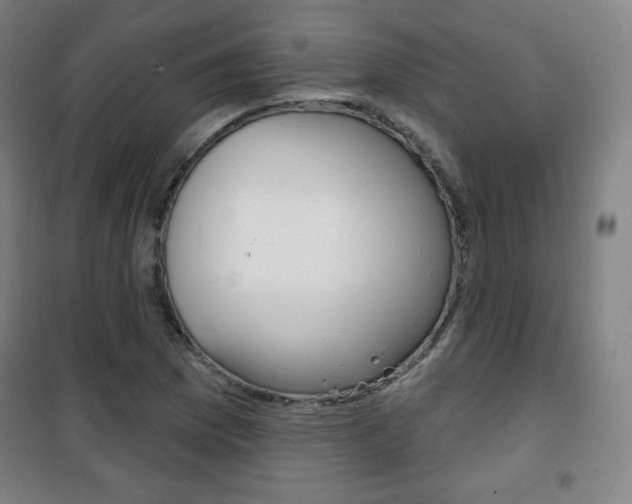 X0000101701169200807101339