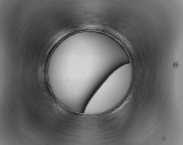 X0000101701170200807101339