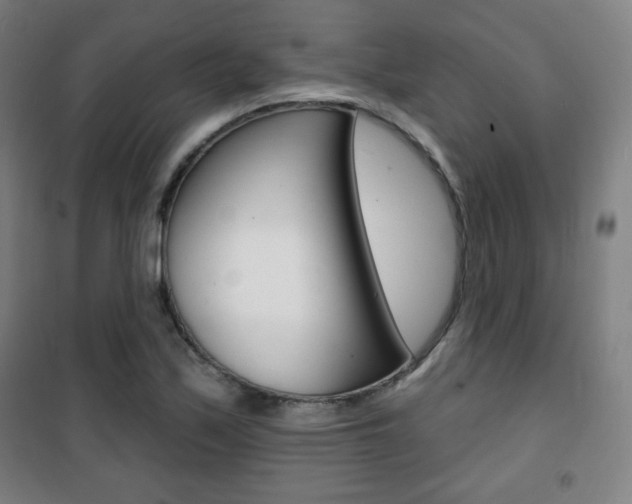 X0000101701171200807101339