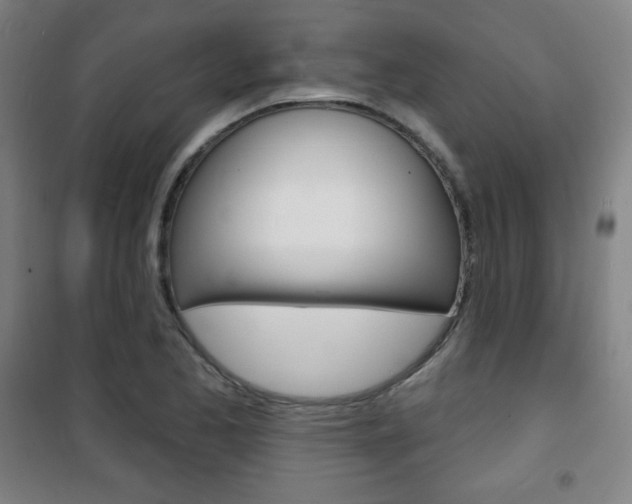 X0000101701173200807101339