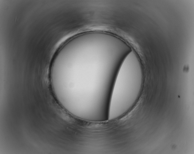 X0000101701174200807101339