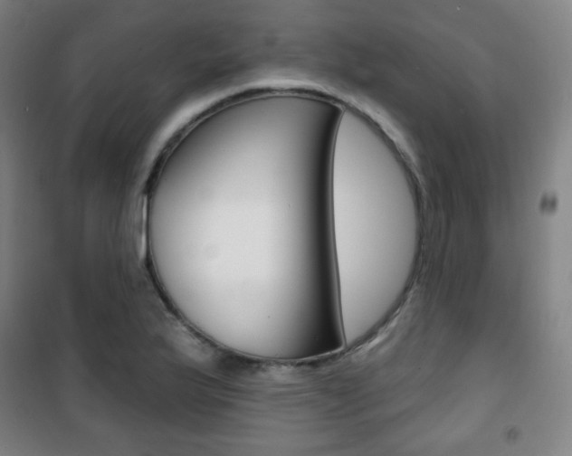 X0000101701175200807101339