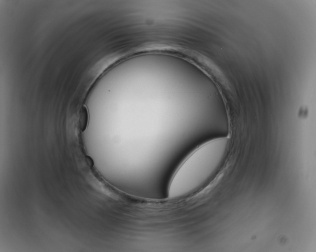 X0000101701177200807101339