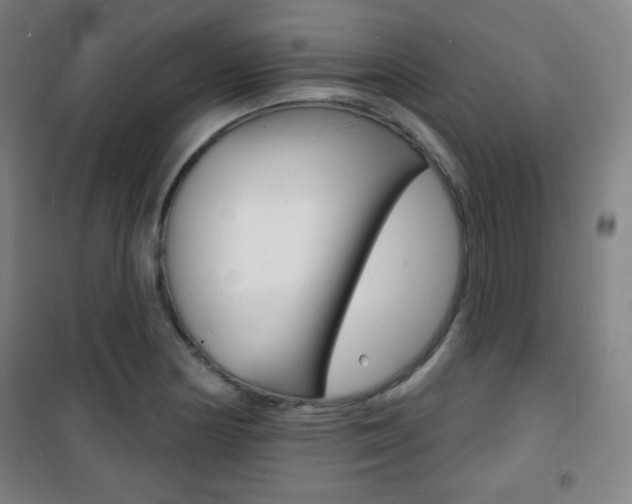 X0000101701178200807101339