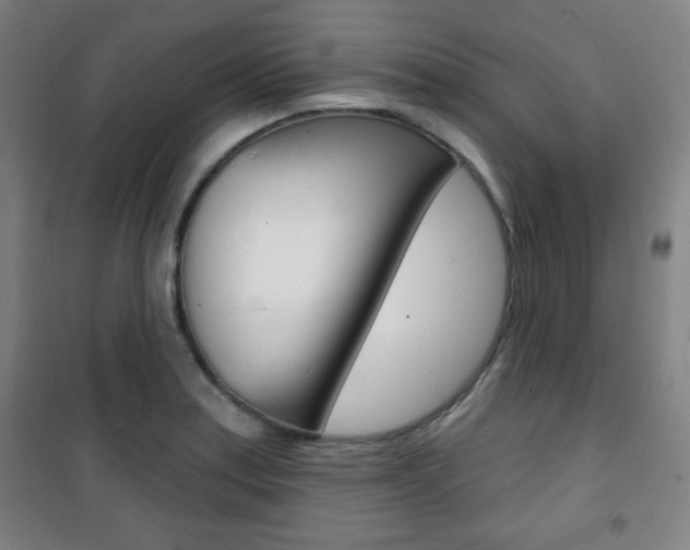X0000101701179200807101339