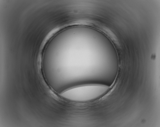 X0000101701180200807101339